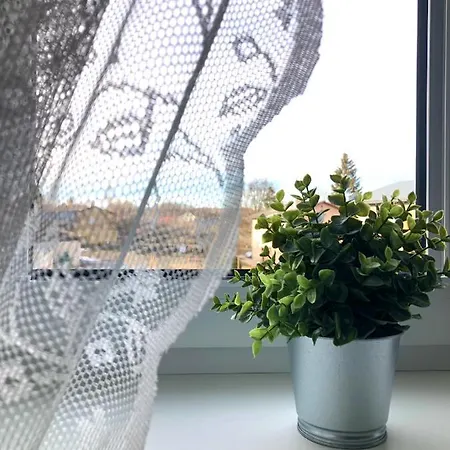 Niine 12 * Haapsalu